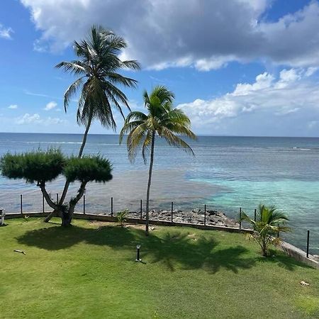 Ti Macloa - Appartement Les Pieds Dans L'Eau Sainte-Anne  Exterior foto