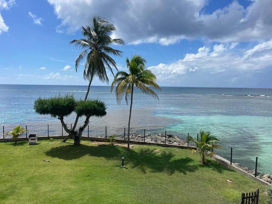 Ti Macloa - Appartement Les Pieds Dans L'Eau Sainte-Anne  Exterior foto